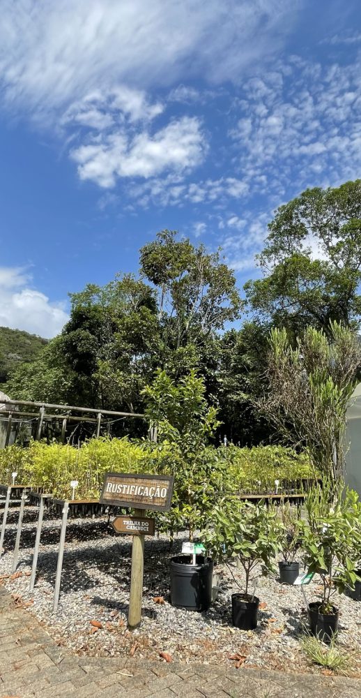 Centro De Biodiversidade Da Mata Atl Ntica Legado Das Guas