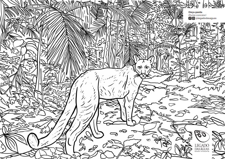 Desenho de Banana para Colorir - Colorir.com