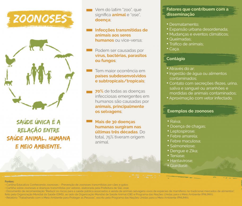 Zoonoses: O Que é E Como Evitar? – Legado Das Águas