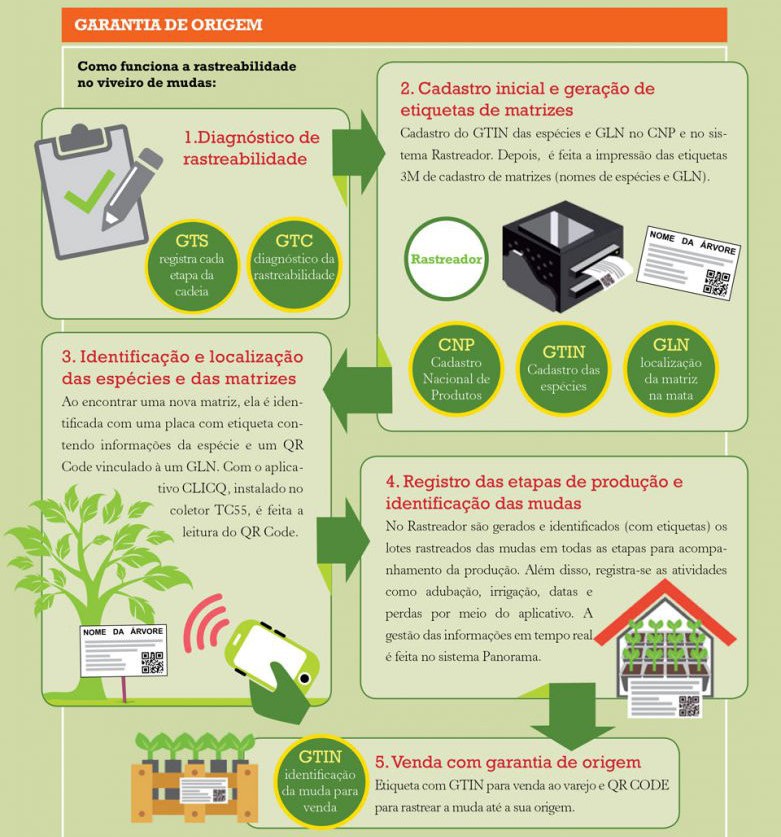 infografico-781×1024-1