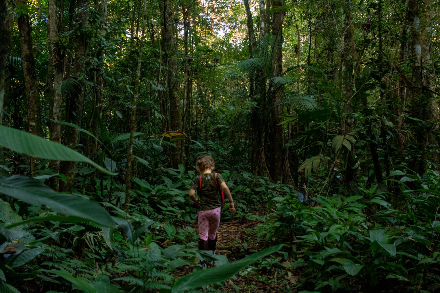 Despertando Ecocidadãos A Importância Da Educação Ambiental Para As Crianças Legado Das Águas