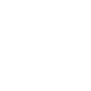 Logo 11