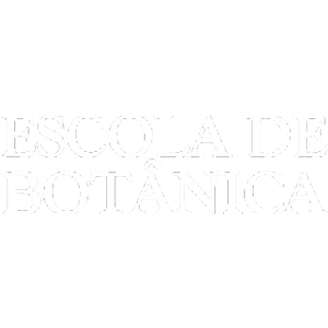 Logo 13