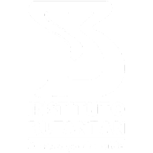 Logo 13