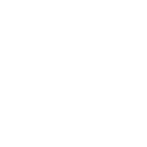 Logo 6